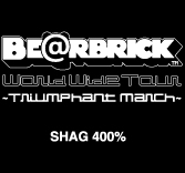 MEDICOM TOY - WORLD WIDE TOUR BE@RBRICK SHAG 400%