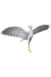 UDF FLOW Secretary bird