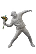 FLOWER BOMBER