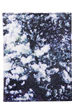 MLE M / mika ninagawa シリーズ『YOSAKURA』 PASSPORT CASE
