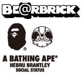 MEDICOM TOY - A BATHING APE(R) × HEBRU BRANTLEY × SOCIAL STATUS BE