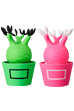 VCD Pachypodium Gracilius Fluorescent Green & BLACK／ Fluorescent Pink & WHITE