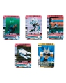 PBM! 仮面ライダーディケイド 激情態