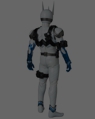RAH DX 仮面ライダーエターナル